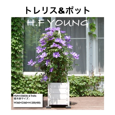クレマチス クレマチス・トレリス付き植木鉢 | SITEC GARDEN